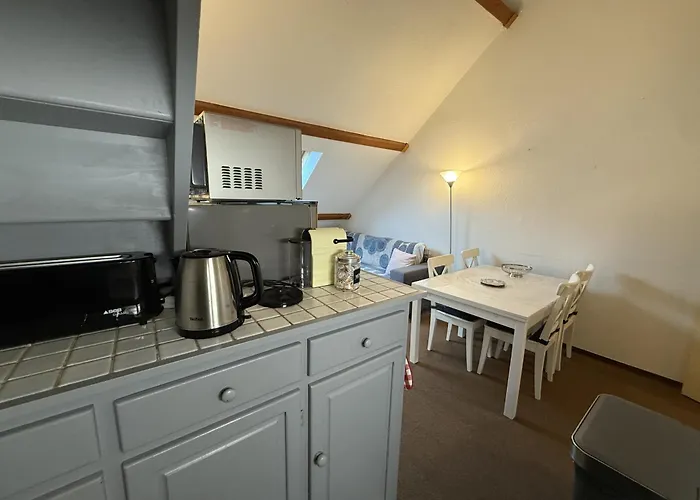 Apartment 2 Avec Mezzanine Le Lioran