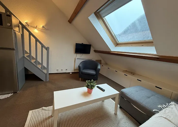 2 Avec Mezzanine Apartment Le Lioran