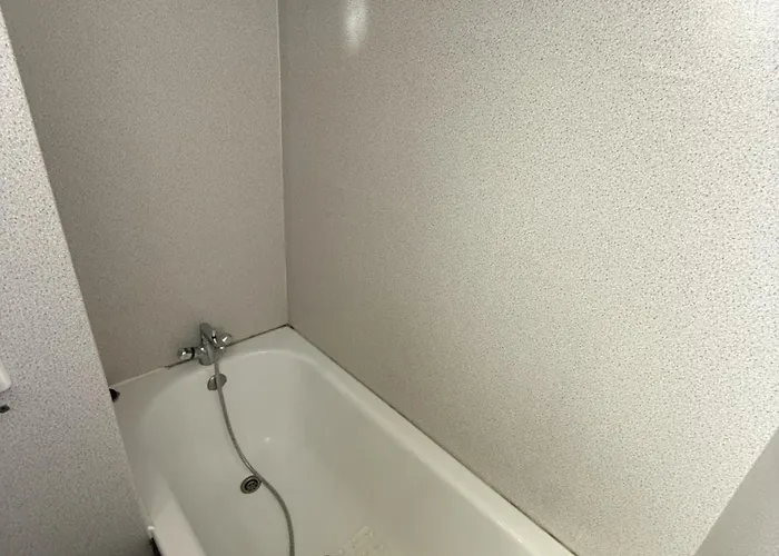 2 Avec Mezzanine Apartment Le Lioran